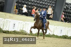 24R13_06121 thumbnail