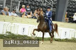 24R13_06122 thumbnail