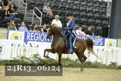 24R13_06124 thumbnail