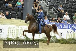 24R13_06125 thumbnail