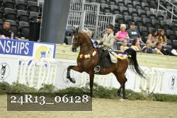 24R13_06128 thumbnail