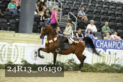24R13_06130 thumbnail