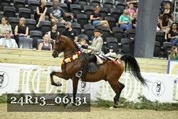 24R13_06131 thumbnail