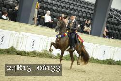 24R13_06133 thumbnail
