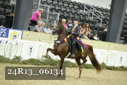 24R13_06134 thumbnail