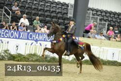 24R13_06135 thumbnail