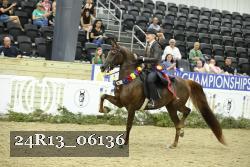 24R13_06136 thumbnail