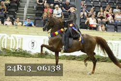 24R13_06138 thumbnail