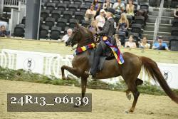 24R13_06139 thumbnail