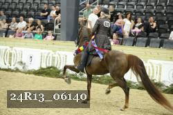 24R13_06140 thumbnail