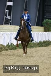 24R13_06141 thumbnail