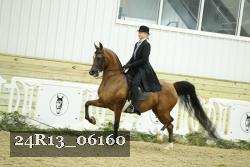 24R13_06160 thumbnail