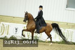 24R13_06161 thumbnail