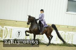 24R13_06163 thumbnail