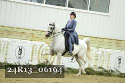 24R13_06164 thumbnail