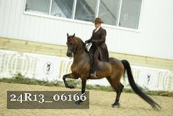 24R13_06166 thumbnail
