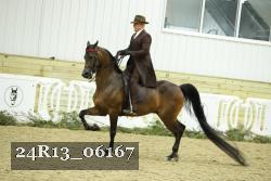 24R13_06167 thumbnail
