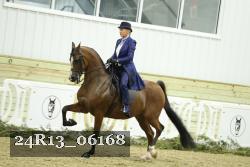 24R13_06168 thumbnail