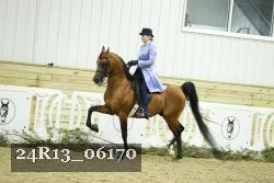 24R13_06170 thumbnail