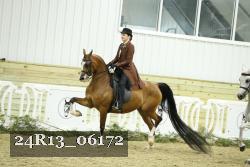 24R13_06172 thumbnail