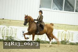 24R13_06173 thumbnail