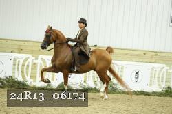 24R13_06174 thumbnail