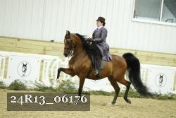 24R13_06176 thumbnail