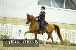 24R13_06178 thumbnail