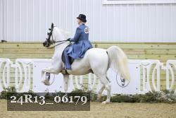 24R13_06179 thumbnail