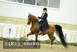 24R13_06180 thumbnail