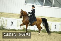24R13_06181 thumbnail