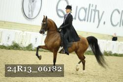 24R13_06182 thumbnail