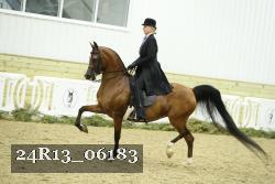 24R13_06183 thumbnail