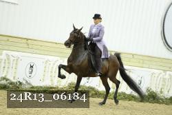 24R13_06184 thumbnail