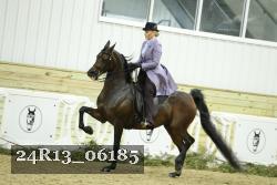 24R13_06185 thumbnail