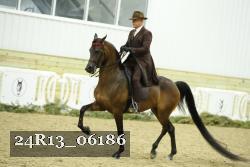 24R13_06186 thumbnail