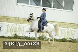 24R13_06188 thumbnail