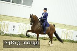 24R13_06190 thumbnail
