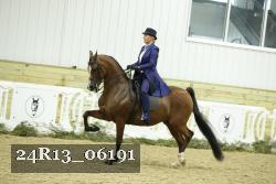 24R13_06191 thumbnail