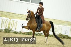 24R13_06197 thumbnail