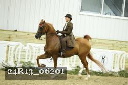 24R13_06201 thumbnail