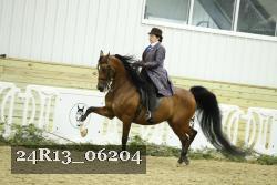 24R13_06204 thumbnail