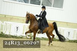 24R13_06207 thumbnail