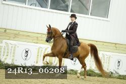24R13_06208 thumbnail