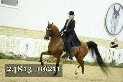 24R13_06211 thumbnail