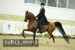 24R13_06212 thumbnail