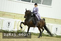 24R13_06217 thumbnail
