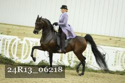 24R13_06218 thumbnail