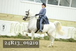 24R13_06219 thumbnail