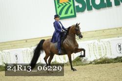 24R13_06229 thumbnail